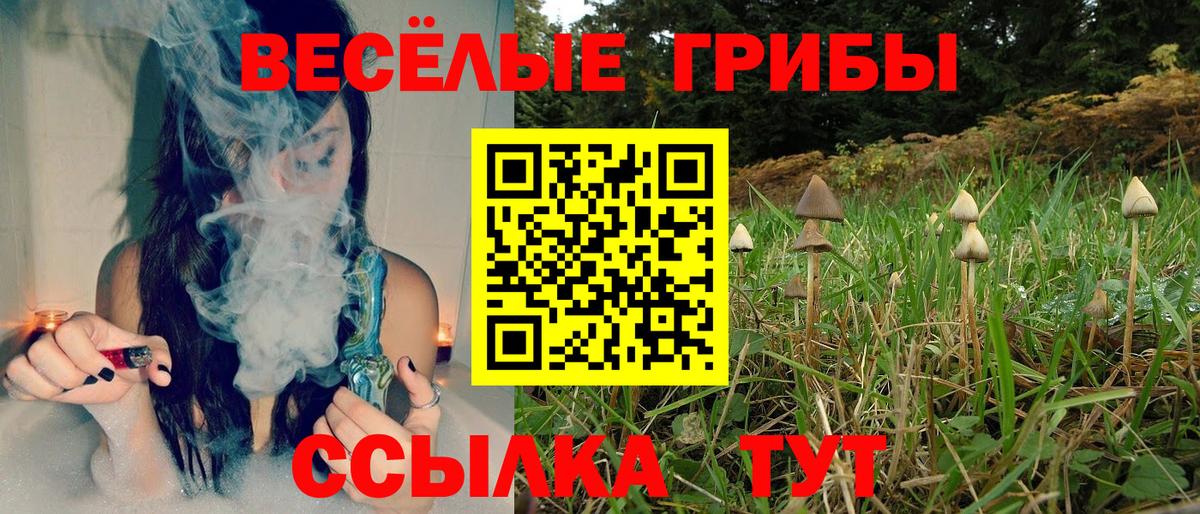 Луховицы  Галлюциногенные грибы Psilocybine cubensis  Вход с VPN 